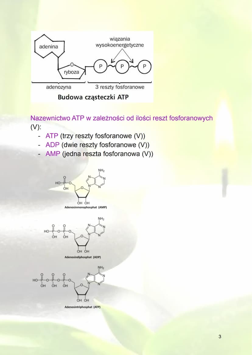 Podstawowe zasady metabolizmu
1. Metabolizm - ogół przemian biochemicznych
zachodzących w organizmie
Energia - zdolność do wykonania pracy (
