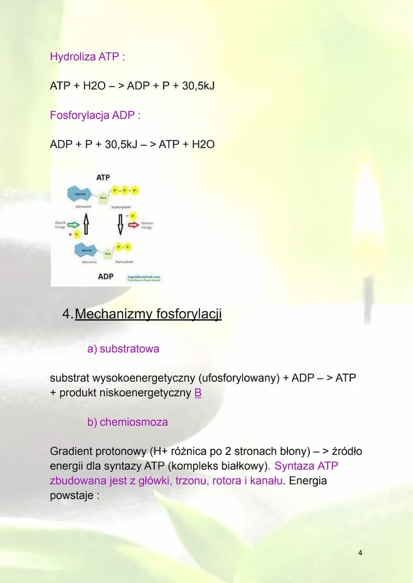Podstawowe zasady metabolizmu
1. Metabolizm - ogół przemian biochemicznych
zachodzących w organizmie
Energia - zdolność do wykonania pracy (
