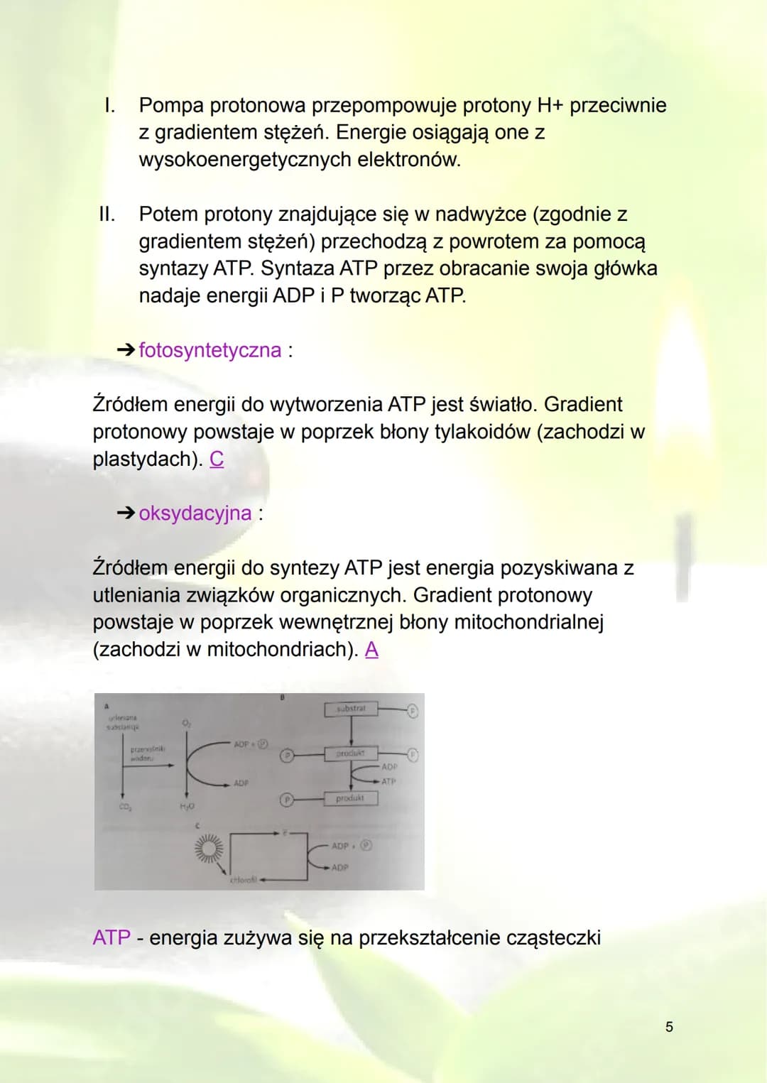 Podstawowe zasady metabolizmu
1. Metabolizm - ogół przemian biochemicznych
zachodzących w organizmie
Energia - zdolność do wykonania pracy (