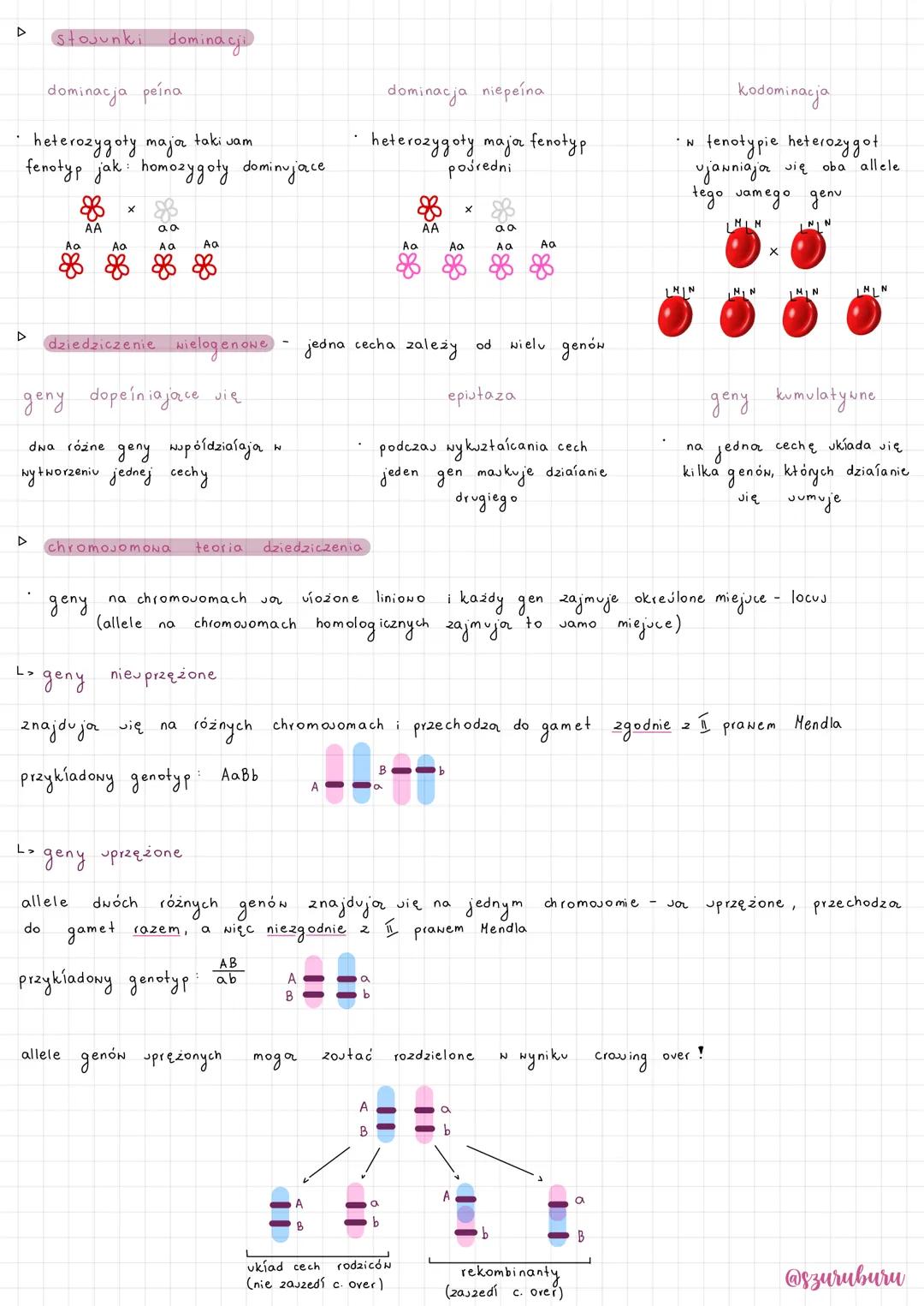 D
dominacja peína
heterozygoty major taki sam
fenotyp jak: homozygoty dominujące.
▷
stojunki
L₂
L>
8
AA
883
dominacji
Aa
geny dopeiniające s