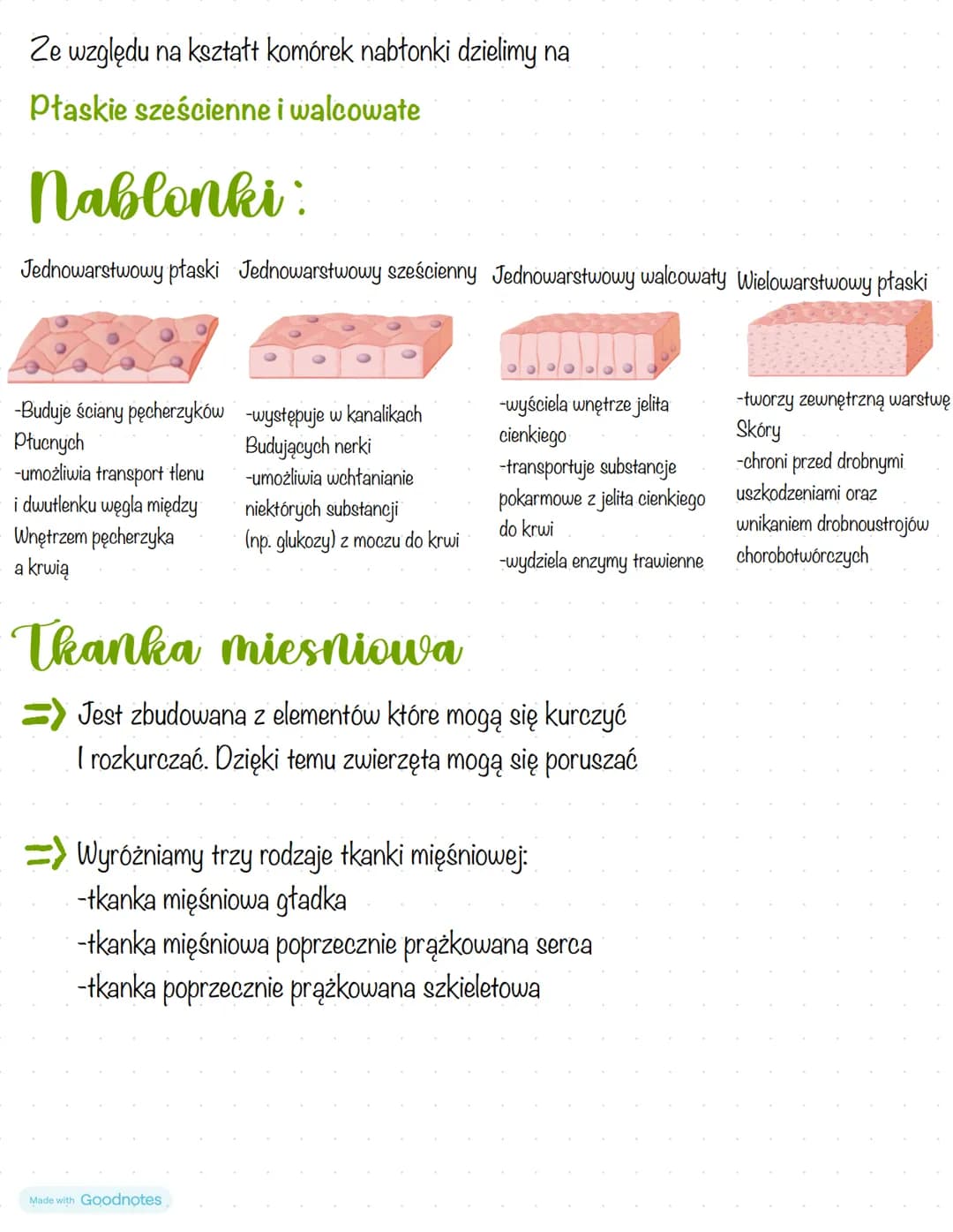 Biologia
Ciała zwierząt Są zbudowane z tkanki nabłonkowej, tkanki mięśniowej,
tkanki nerwowej i tkanki łącznej
Thanki zwierzece
=>Tkanka nab