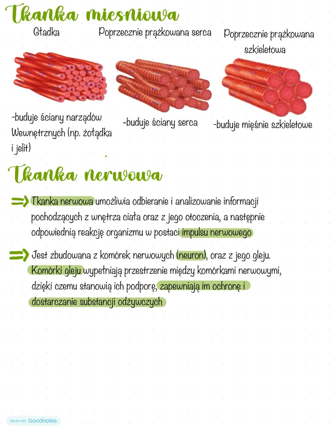 Biologia
Ciała zwierząt Są zbudowane z tkanki nabłonkowej, tkanki mięśniowej,
tkanki nerwowej i tkanki łącznej
Thanki zwierzece
=>Tkanka nab