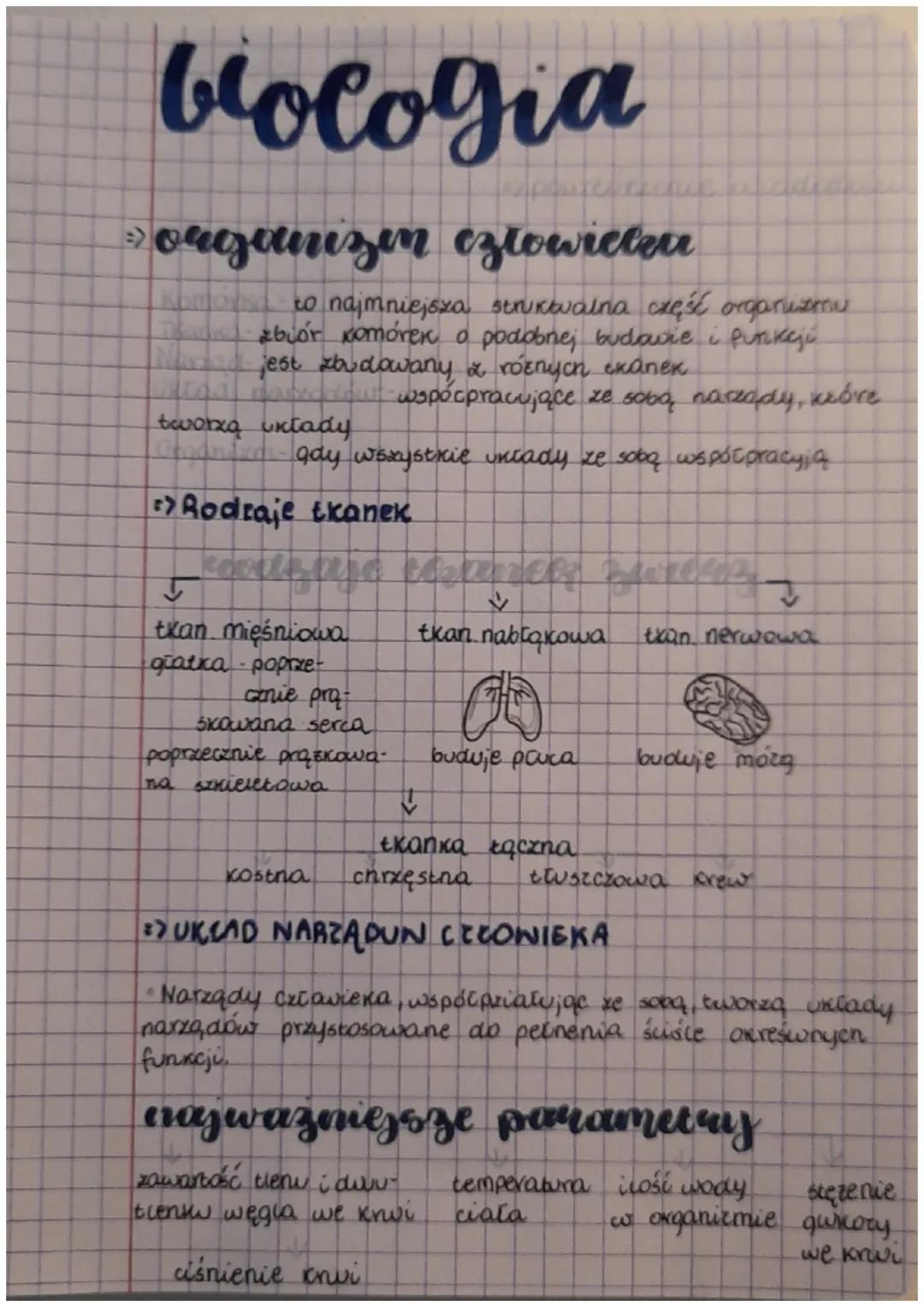blologia
espa
organızın człowieter
to najmniejsza struktvalna część organizmu
zbiór komórek o podobnej budavie i funkeji
jest zb dowany & ro