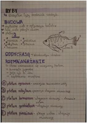 Know kręgowce zmiennocieplne "ryby" thumbnail
