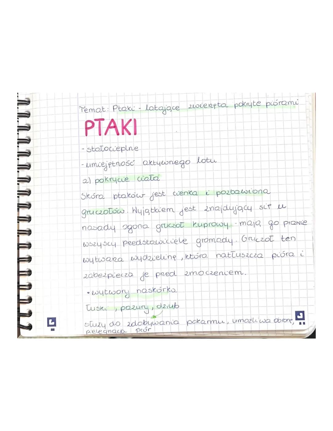 Ptaki- latające zwierzęta pokryte piórami 