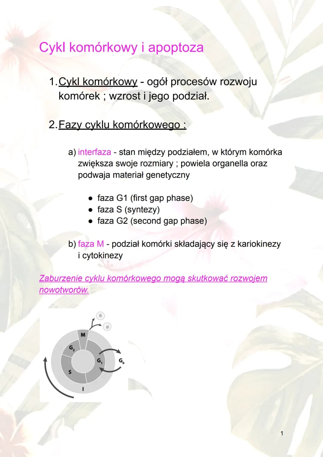 Cykl komórkowy i apoptoza
1.Cykl komórkowy - ogół procesów rozwoju
komórek; wzrost i jego podział.
2.Fazy cyklu komórkowego :
a) interfaza -