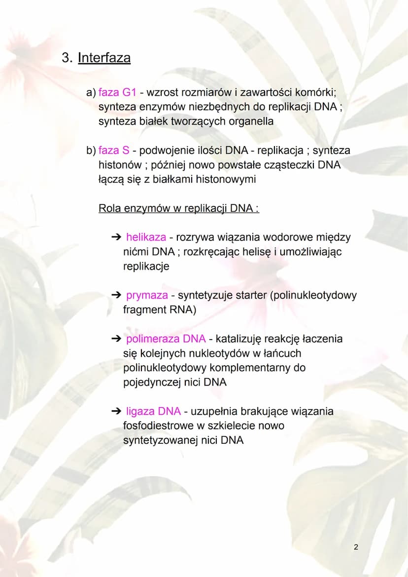 Cykl komórkowy i apoptoza
1.Cykl komórkowy - ogół procesów rozwoju
komórek; wzrost i jego podział.
2.Fazy cyklu komórkowego :
a) interfaza -