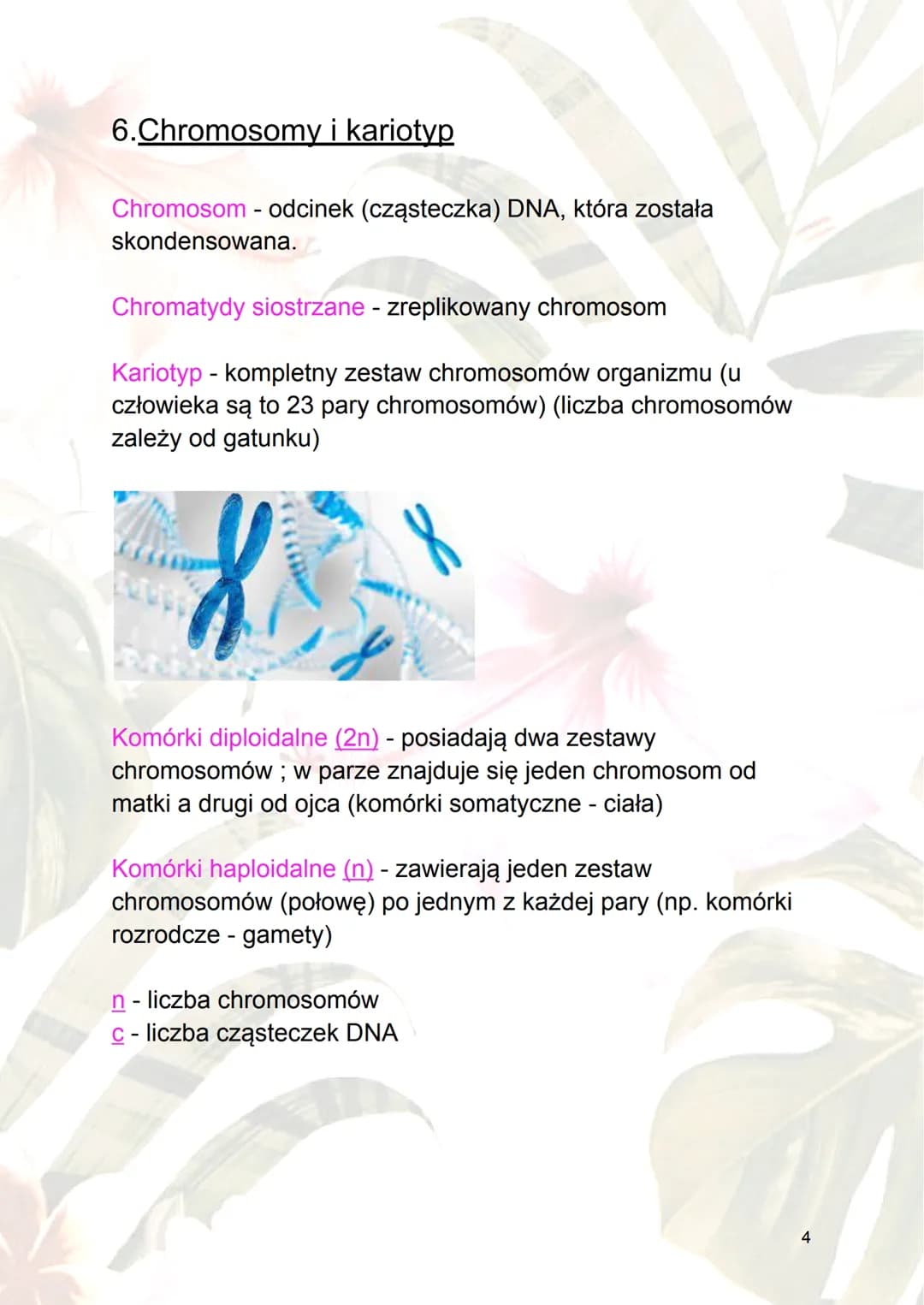 Cykl komórkowy i apoptoza
1.Cykl komórkowy - ogół procesów rozwoju
komórek; wzrost i jego podział.
2.Fazy cyklu komórkowego :
a) interfaza -