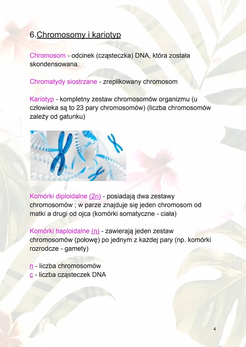 Cykl komórkowy i apoptoza
1.Cykl komórkowy - ogół procesów rozwoju
komórek; wzrost i jego podział.
2.Fazy cyklu komórkowego :
a) interfaza -