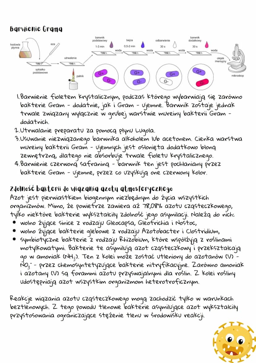 --- OCR Start ---
Organizmy prokgriotyczne -
bakterie i grcheowce
Organizmy prokgriotyczne
• Pierwsze ślady życia na Ziemi pochodzą sprzed o