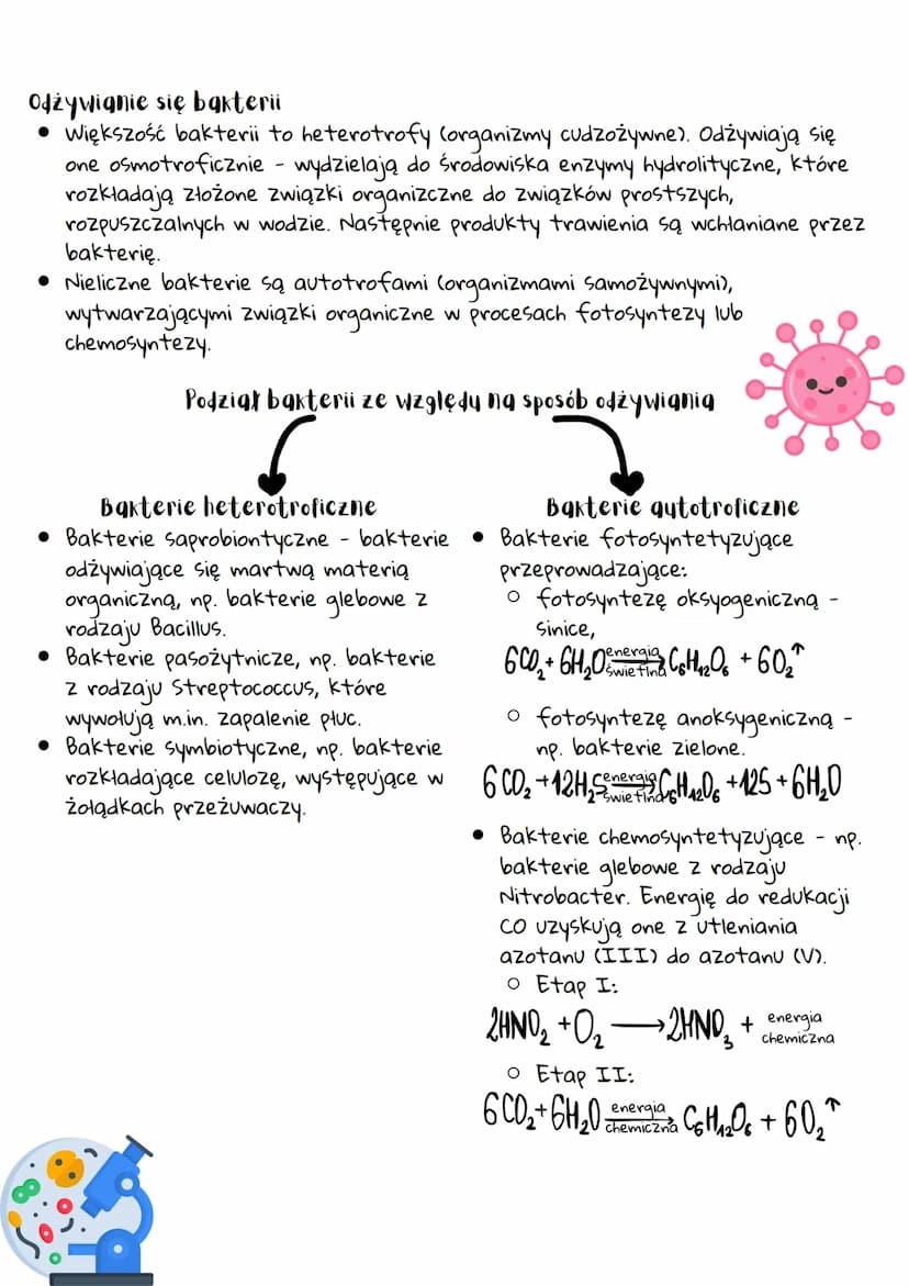 --- OCR Start ---
Organizmy prokgriotyczne -
bakterie i grcheowce
Organizmy prokgriotyczne
• Pierwsze ślady życia na Ziemi pochodzą sprzed o
