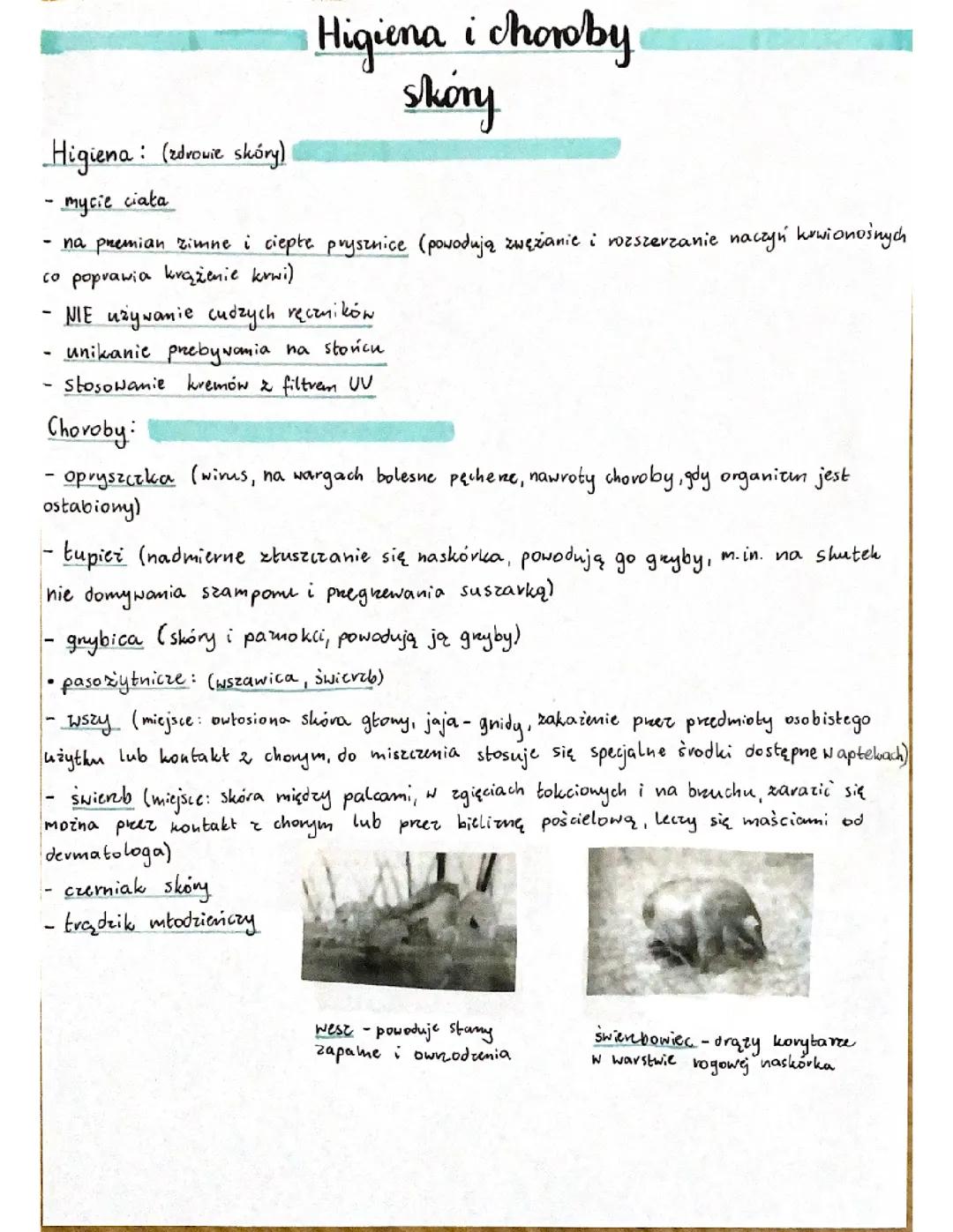 Higiena skóry: Jak dbać o zdrowie skóry i unikać chorób