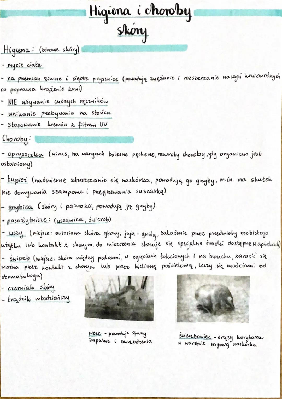 :
Higiena (zdrowie skóry)
mycie ciała
Higiena i choroby
skory
- na premian zimne i ciepte prysznice (powodują zwężanie i rozszerzanie naczyń