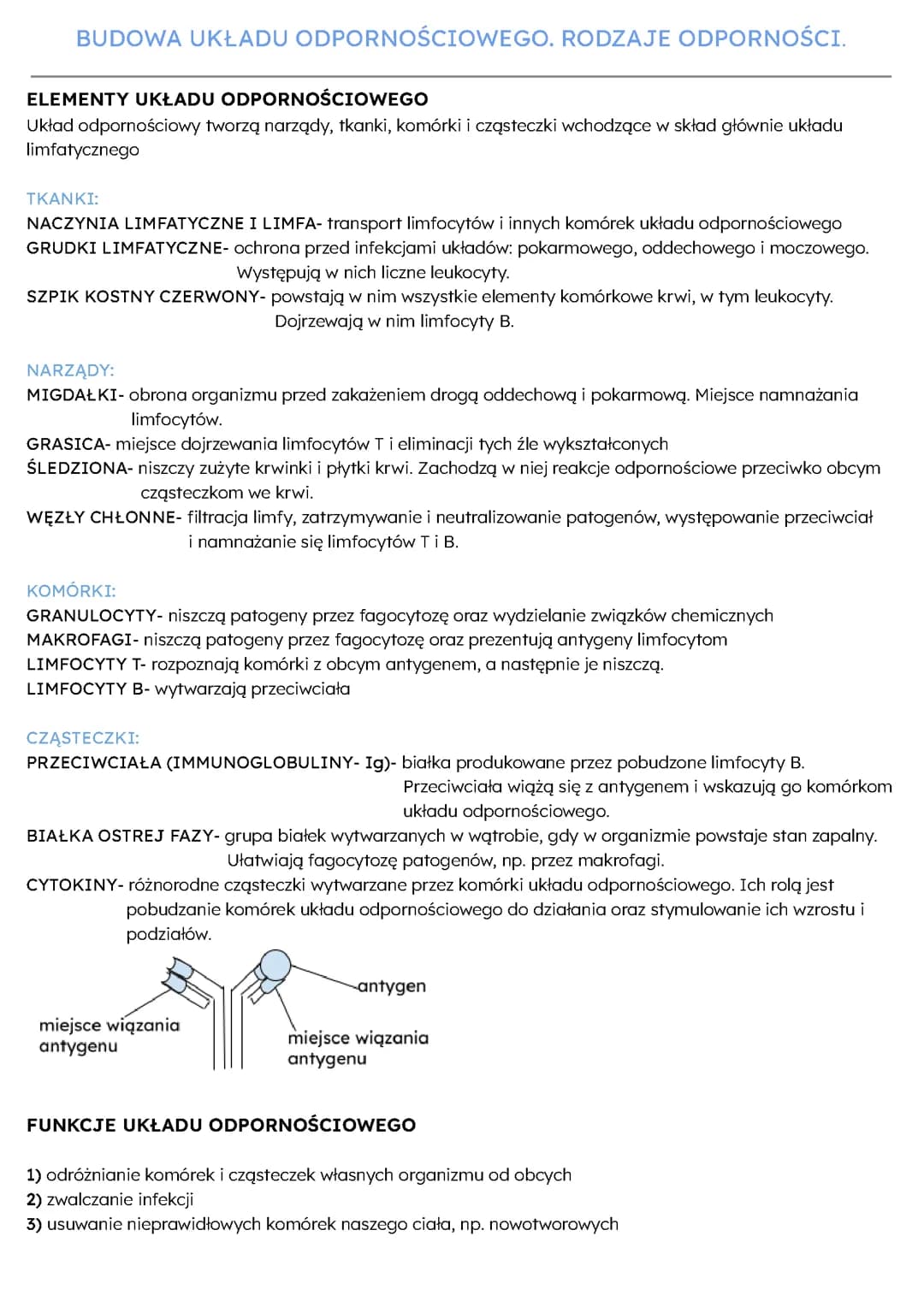 budowa układu odpornościowego 