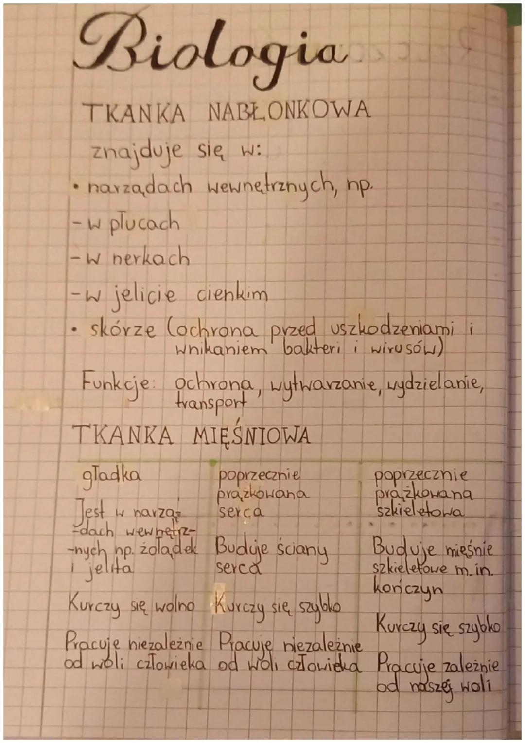 Tkanki zwierzęce