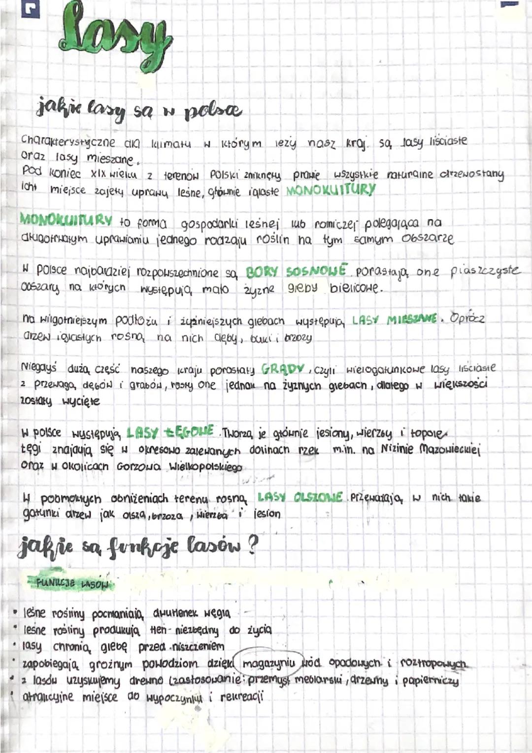 # Sosy

jakie lasy są w polsa

Charakterystyczne aa kumatu w którym leży nasz kraj są, lasy liściaste
Oraz lasy mieszane.
Pod koniec XIX wie