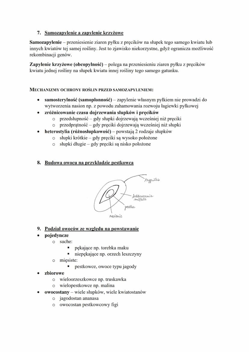 1. Cechy charakterystyczne
zapłodnienie nie wymaga obecności wody
w przemianie pokoleń dominuje sporofit (powstaje z nasienia)
są lepiej prz