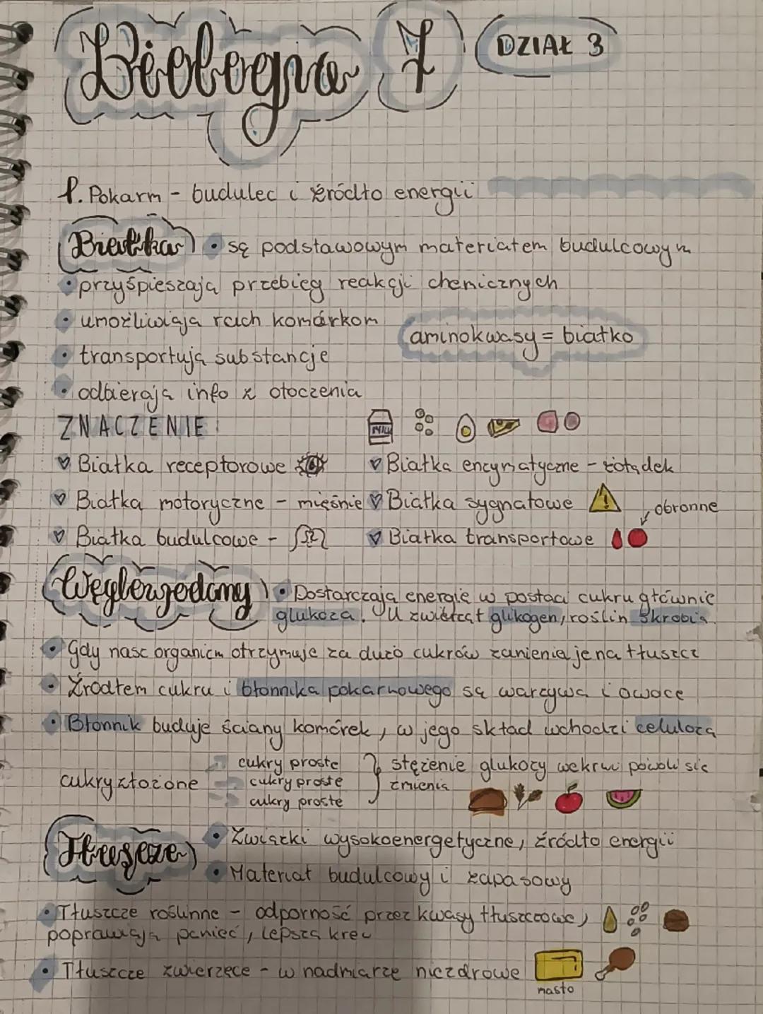 Biologia klasa 7 dział 3