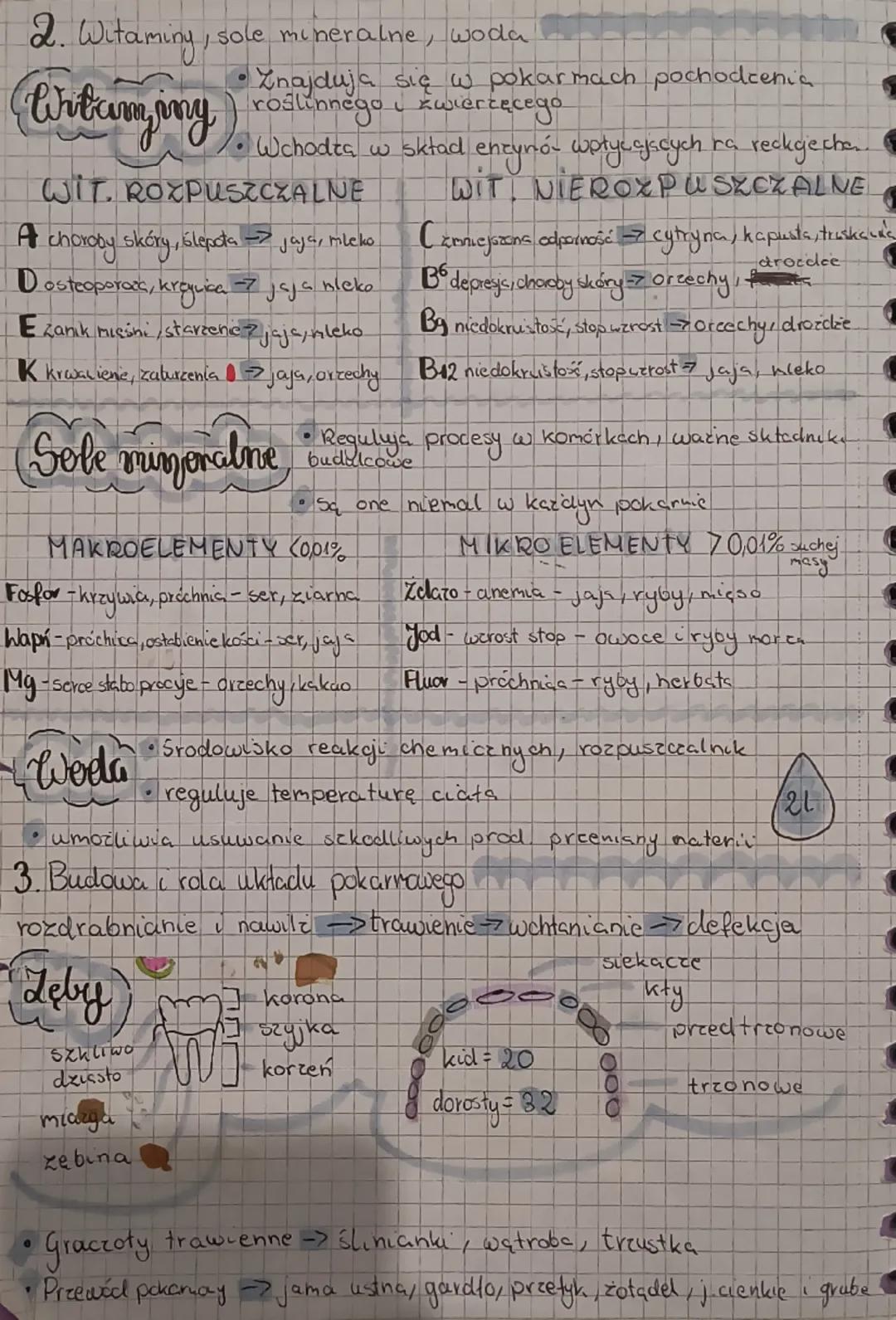 --- OCR Start ---
DZIAŁ 3
Biebogra & Conve
P. Pokarm - budulec i éróciło energii
Bievtika se podstawowym materiatem budulcowym
przyśpieszają