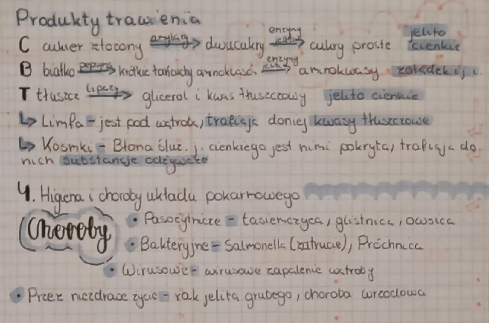 --- OCR Start ---
DZIAŁ 3
Biebogra & Conve
P. Pokarm - budulec i éróciło energii
Bievtika se podstawowym materiatem budulcowym
przyśpieszają