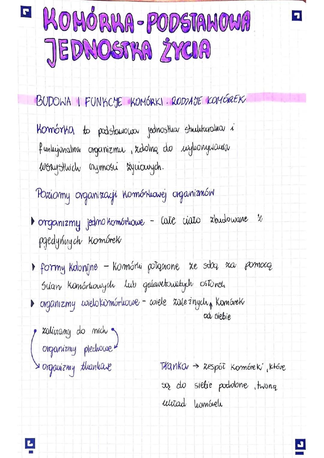 Budowa i funkcje komórek prokariotycznych i eukariotycznych
