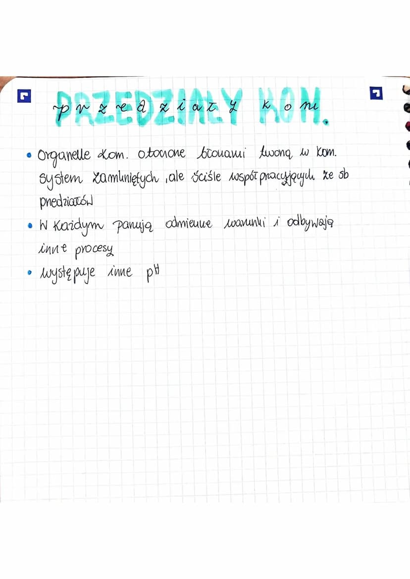 □ KOMÓRKA-PODSTAWOWA
JEDNOSTKA ŻYCIA
BUDOWA I FUNKCJE KOMÓRKI RODZAJE KOMÓREK
Komórka to podstawowa jednostka strukturalna i
funkcjonalna or