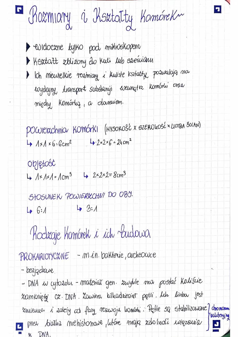 □ KOMÓRKA-PODSTAWOWA
JEDNOSTKA ŻYCIA
BUDOWA I FUNKCJE KOMÓRKI RODZAJE KOMÓREK
Komórka to podstawowa jednostka strukturalna i
funkcjonalna or