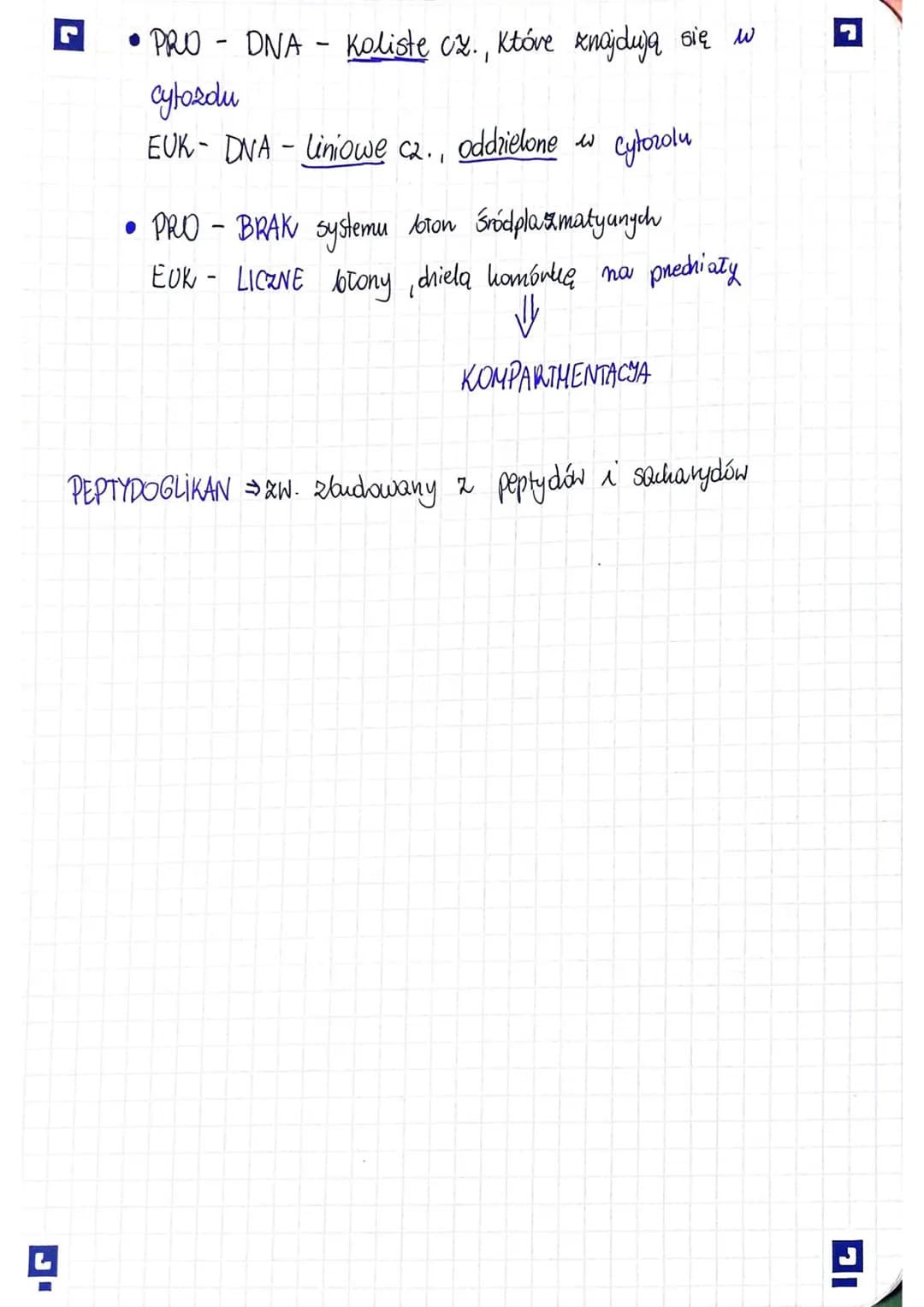 Sprawdzian Biologia Komorka Podstawowa Jednostka Zycia Budowa i funkcje komórek prokariotycznych i eukariotycznych (Biologia