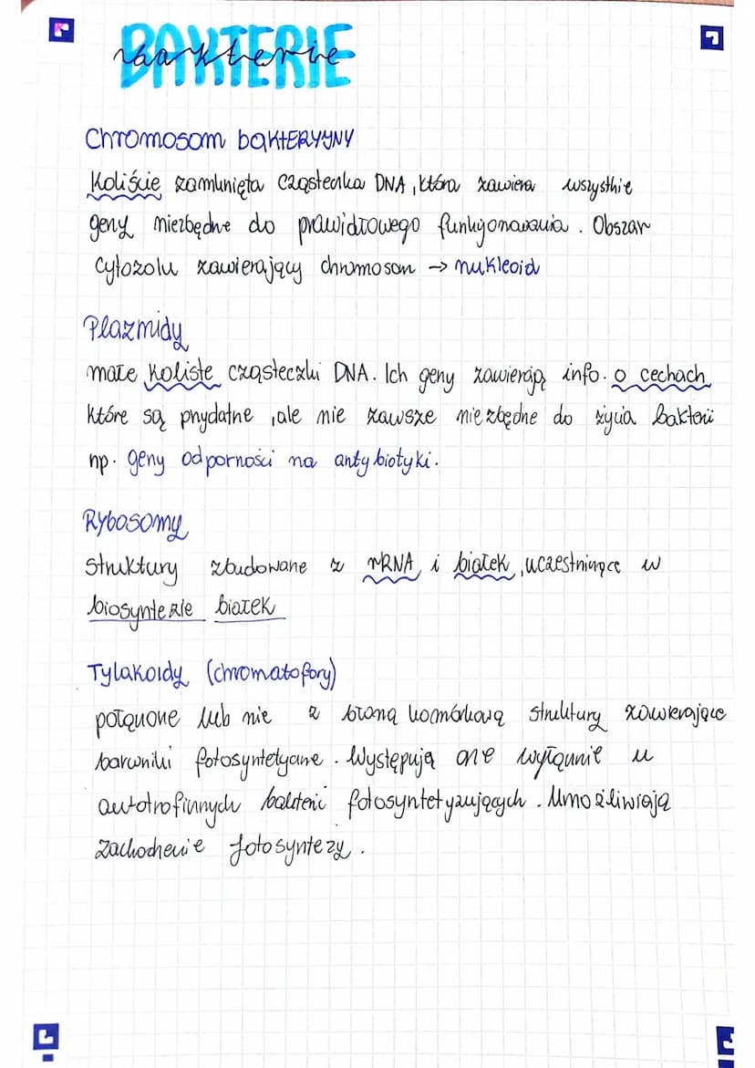 □ KOMÓRKA-PODSTAWOWA
JEDNOSTKA ŻYCIA
BUDOWA I FUNKCJE KOMÓRKI RODZAJE KOMÓREK
Komórka to podstawowa jednostka strukturalna i
funkcjonalna or