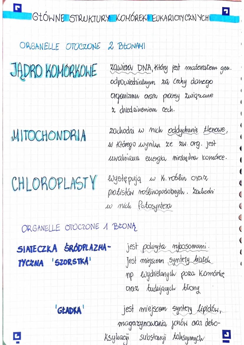 □ KOMÓRKA-PODSTAWOWA
JEDNOSTKA ŻYCIA
BUDOWA I FUNKCJE KOMÓRKI RODZAJE KOMÓREK
Komórka to podstawowa jednostka strukturalna i
funkcjonalna or