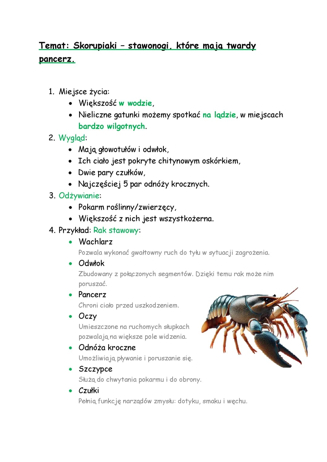 Skorupiaki - stawonogi, które mają twardy pancerz