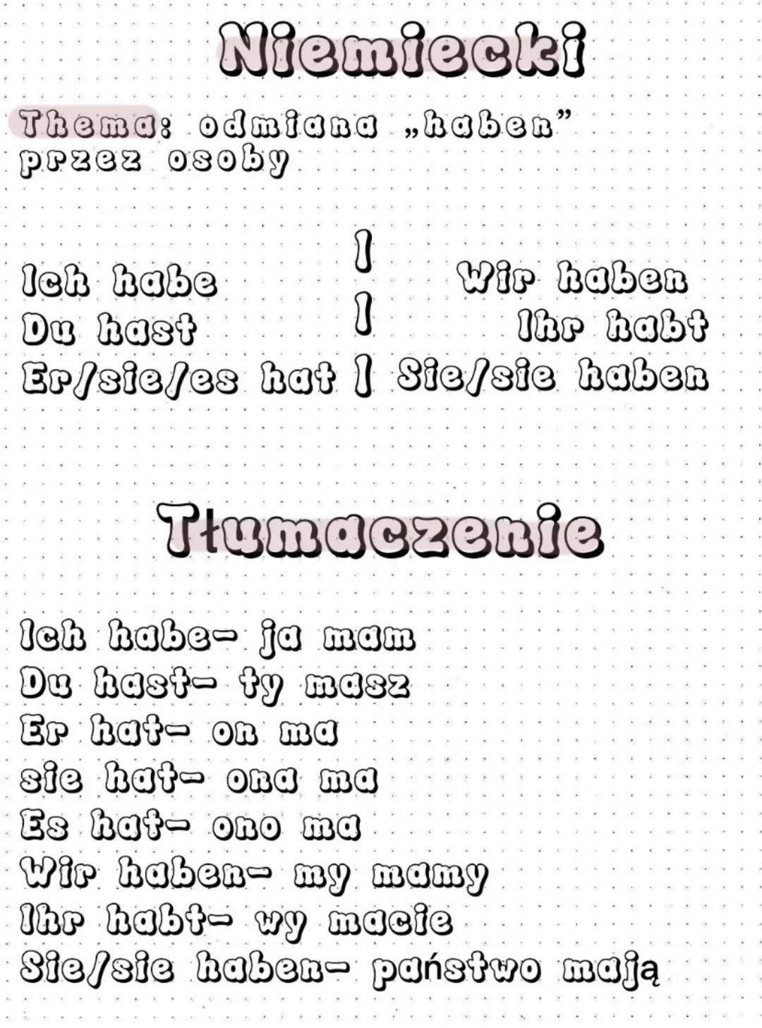 Odmiana 'haben' po niemiecku
