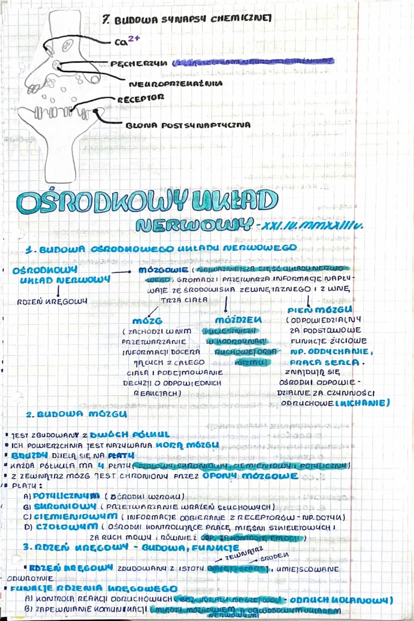 BUDDWAI DZIAŁANIE
UKLADU NERWOWEGO
1. FUNNCIE UKŁADU NERWOWEGO
ODBIERANIE I ANJALIZOWANIE GODŹCÓW POCHODZĄCYCH ZE ŚRODOWISHA ZEWNĘTRZNEGO
IZ