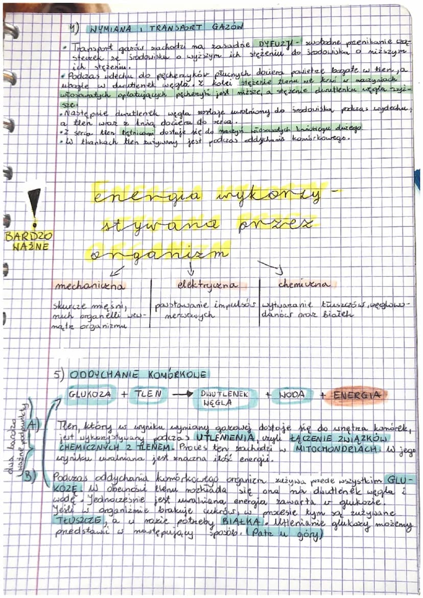 biologia
Mechanizm oddychania
1) TRZY RÓŻNE ZJANISKA ODDYCHANIA:
• oddychanie płucne- wymiana gazowa zachodząca or pęcherzykach
płucnych
2)
