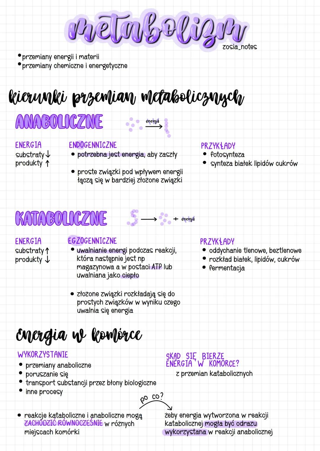 Jak działają przemiany anaboliczne i kataboliczne w komórkach oraz przenośniki energii