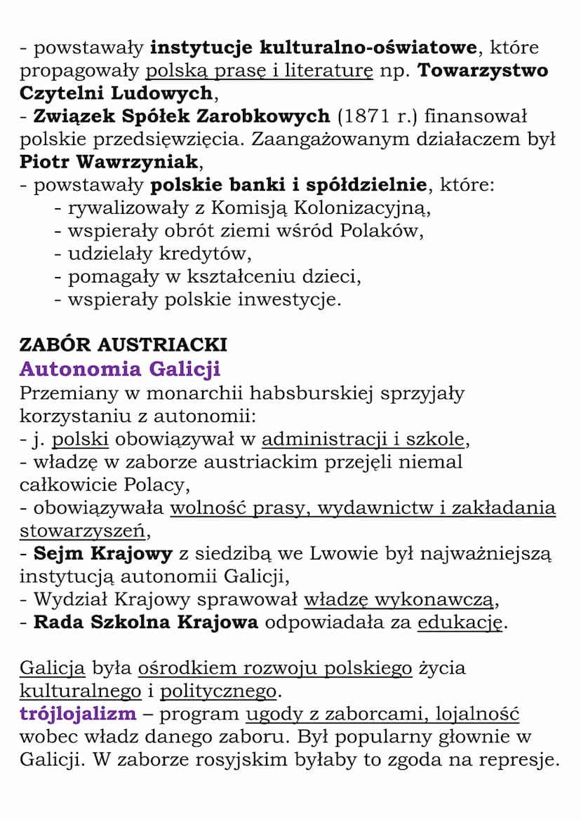 Po powstaniu styczniowym
ZABÓR ROSYJSKI
Represje po upadku powstania / skutki powstania:
- ok 10 tys. powstańców udało się na emigrację,
- z