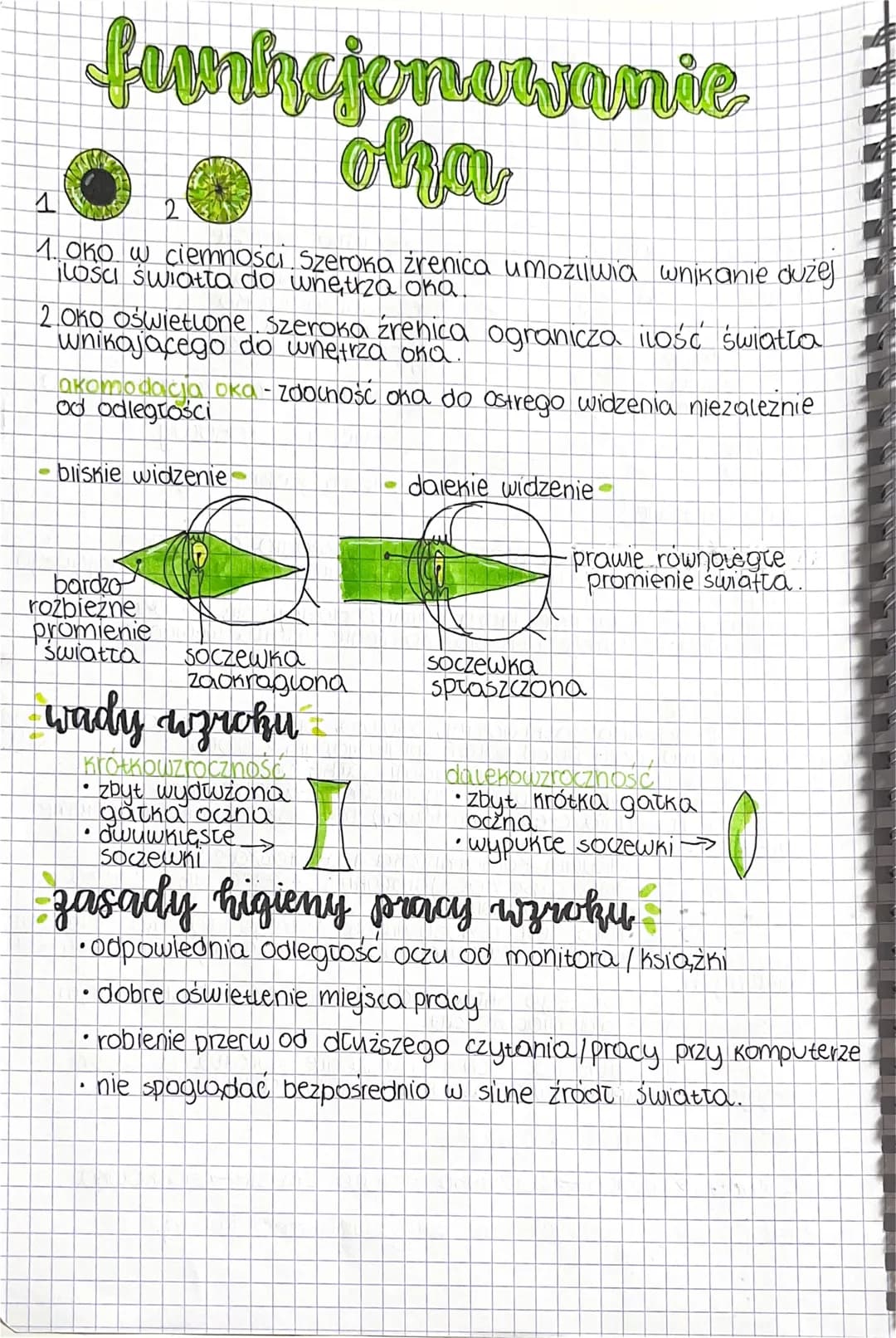 Oho
narzad wzroku
budowa
powieka górnay
rzęsy
1 rogowka-
tęczowka.
3 zrenica
4.Soczewka
powieka
doina
ciato rzęskowe
ciato szkliste
twardowk