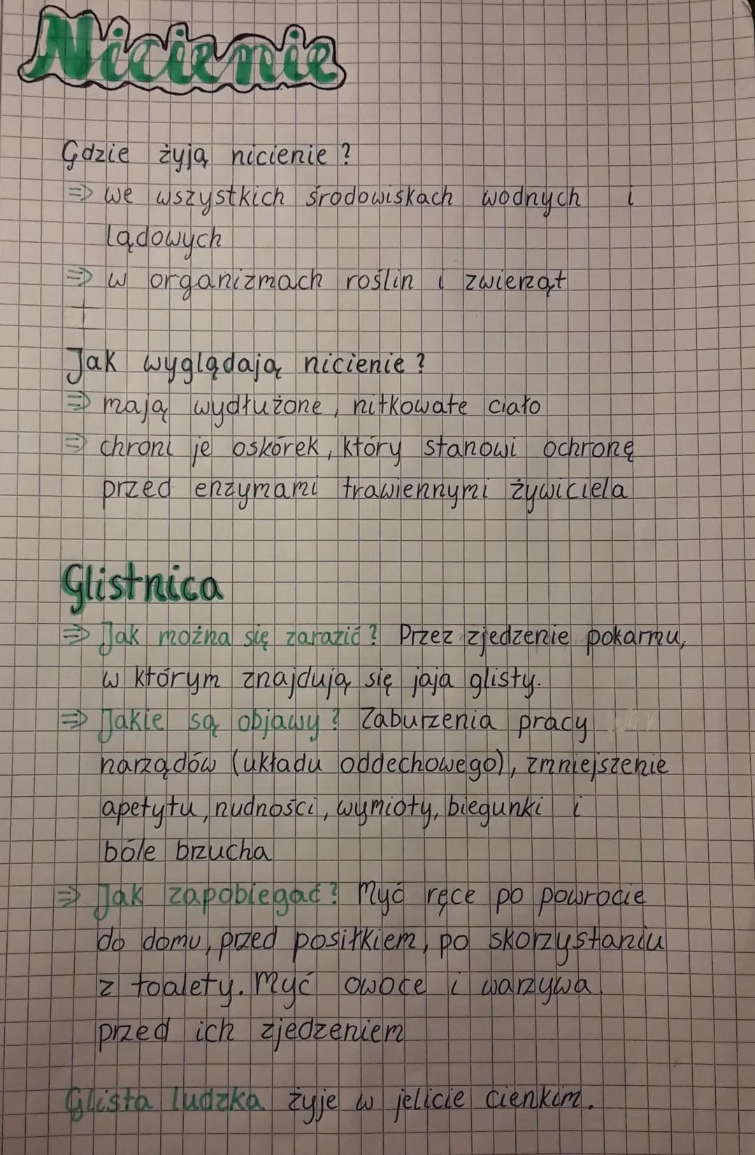 Wszystko o nicieniach: od glisty ludzkiej po znaczenie dla człowieka