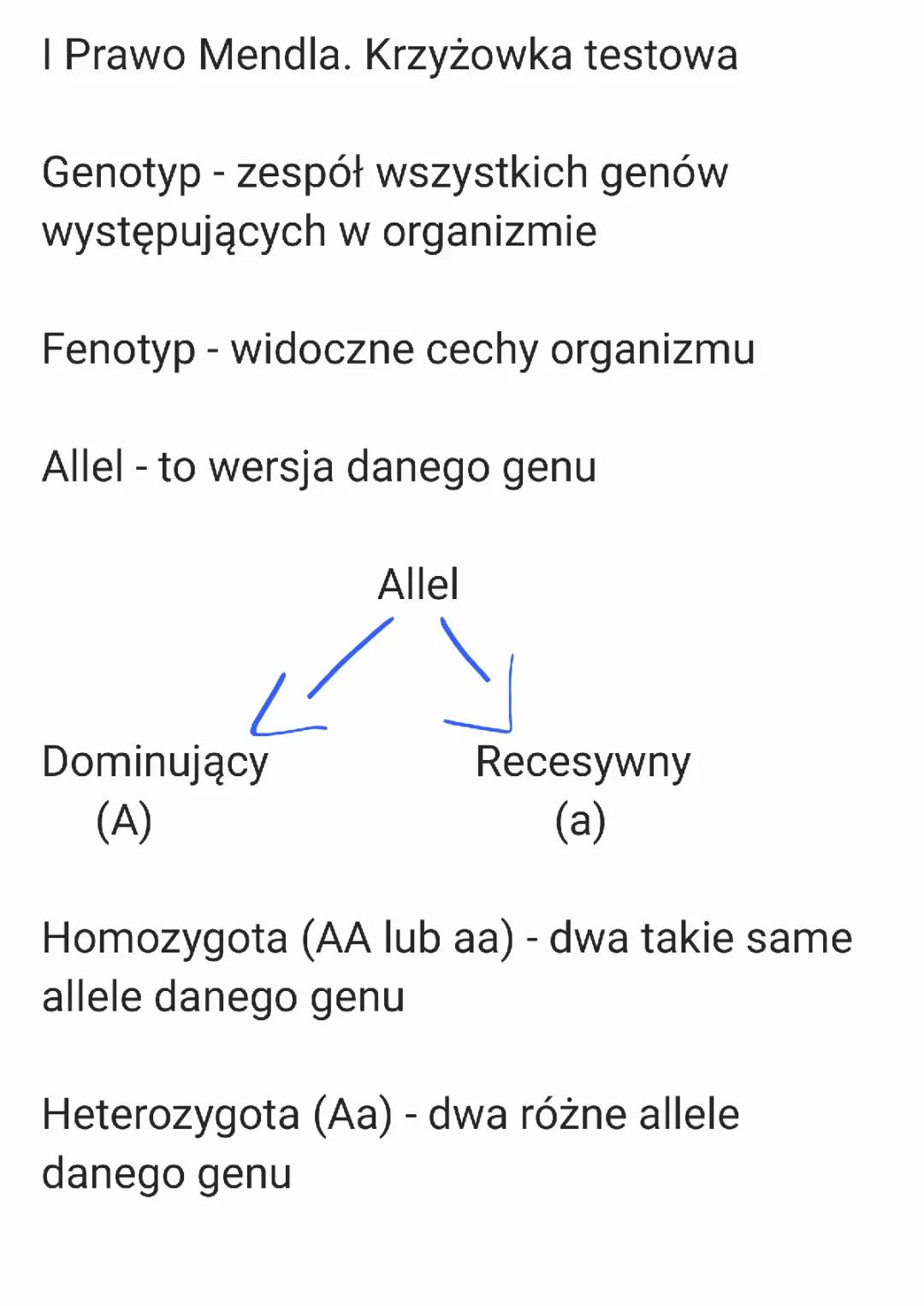 1 i 2 Prawo Mendla: Definicje, Zadania i Przykłady