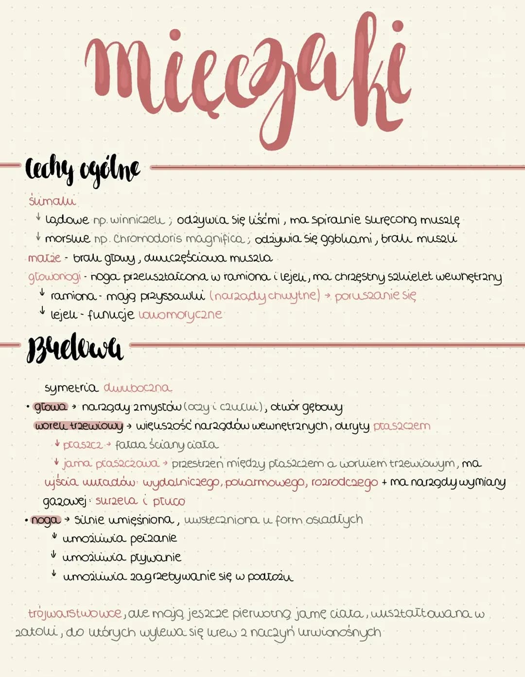 Mięczaki