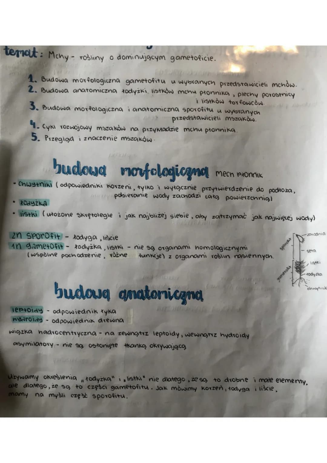 temat:
1: Mchy - rośliny o dominującym gametoficie.
●
1. Budowa morfologiczna gametofitu u wybranych przedstawicieli mchów.
2. Budowa anatom