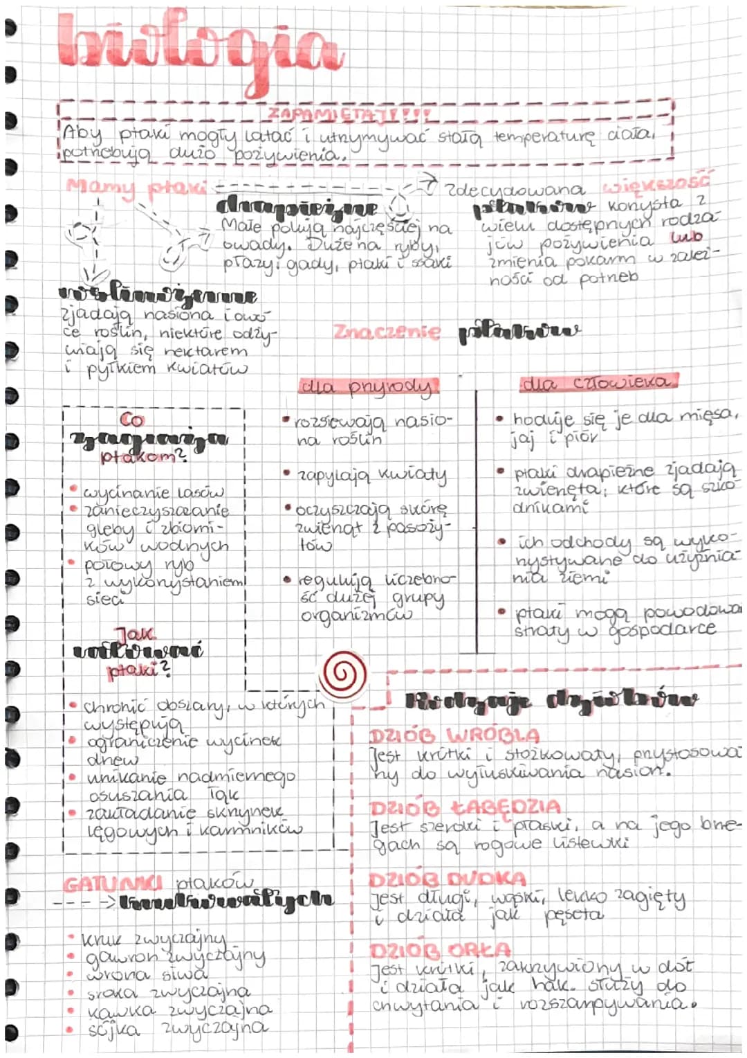 Biologia Ptaki klasa 6 
