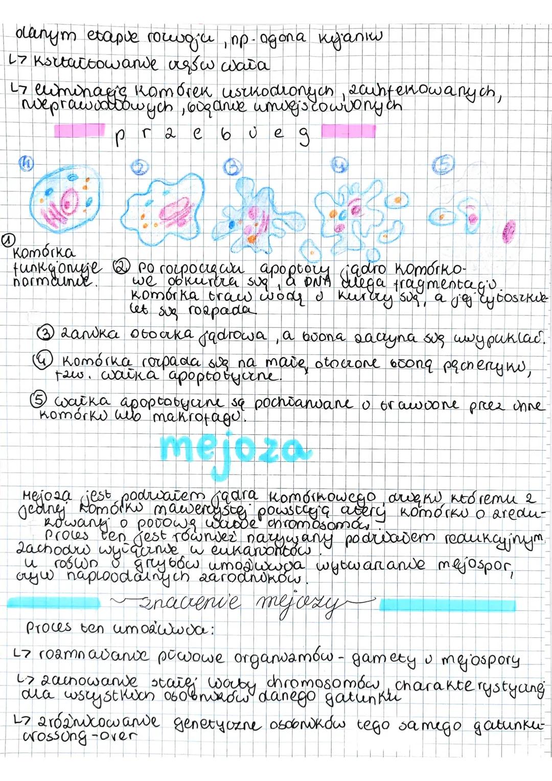 teoria enclogymzbiozy
zakłada, że weresny prodek komórek
eukarvotycznych wchionge komórkę prokarvoty ang
i tak powstany mitochondria i chior