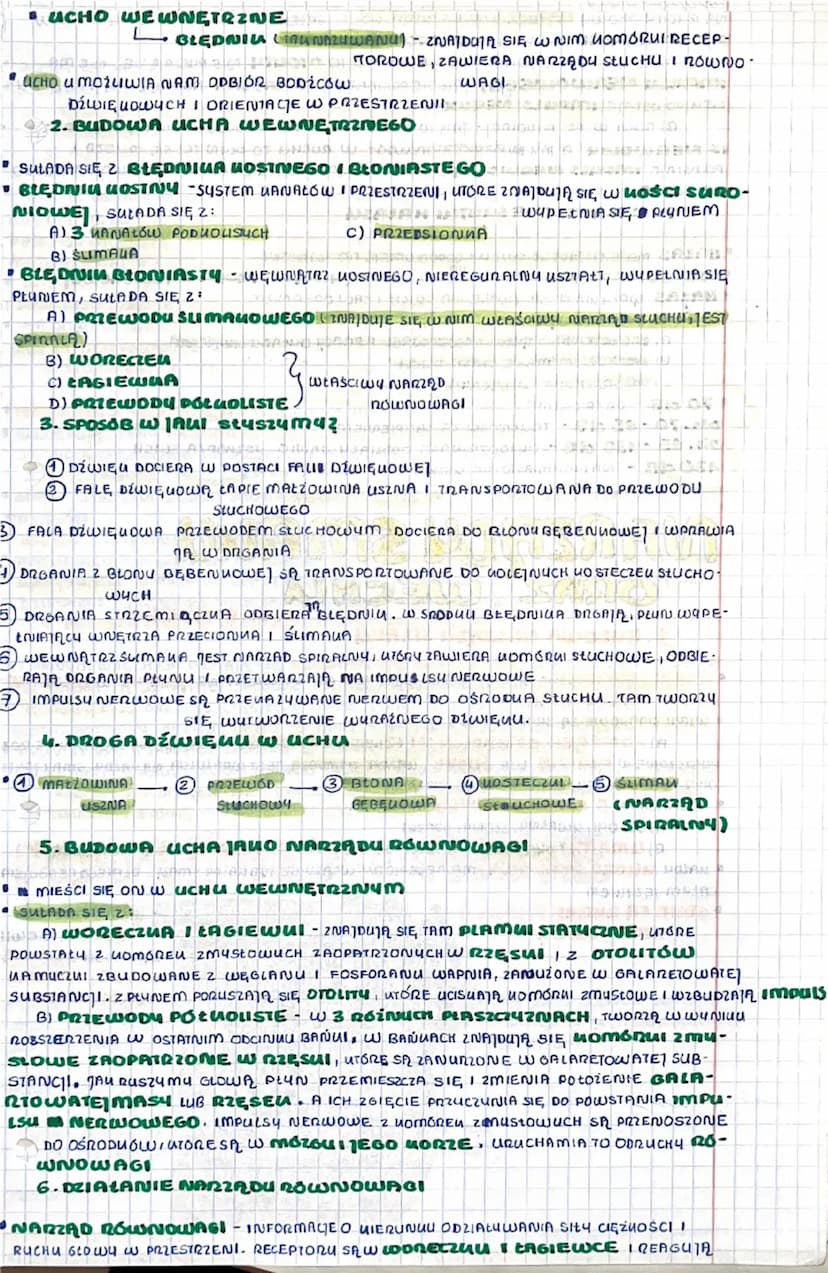 BUDOWA I DZIAŁANIE
NARZĄDU WZROKU
1. RECEPTORY + PODZIAŁ
XXIX. V.mmxxIIr
RECEPTORU - WYSPECIALIZOWANE LOMÓRUI LUB WOLNE ZAKOŃCZENIA NERWOWE 