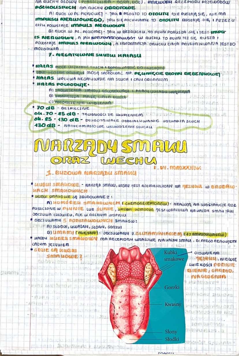BUDOWA I DZIAŁANIE
NARZĄDU WZROKU
1. RECEPTORY + PODZIAŁ
XXIX. V.mmxxIIr
RECEPTORU - WYSPECIALIZOWANE LOMÓRUI LUB WOLNE ZAKOŃCZENIA NERWOWE 