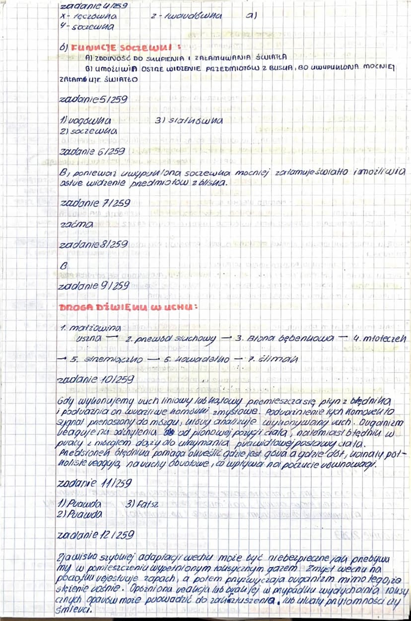 BUDOWA I DZIAŁANIE
NARZĄDU WZROKU
1. RECEPTORY + PODZIAŁ
XXIX. V.mmxxIIr
RECEPTORU - WYSPECIALIZOWANE LOMÓRUI LUB WOLNE ZAKOŃCZENIA NERWOWE 