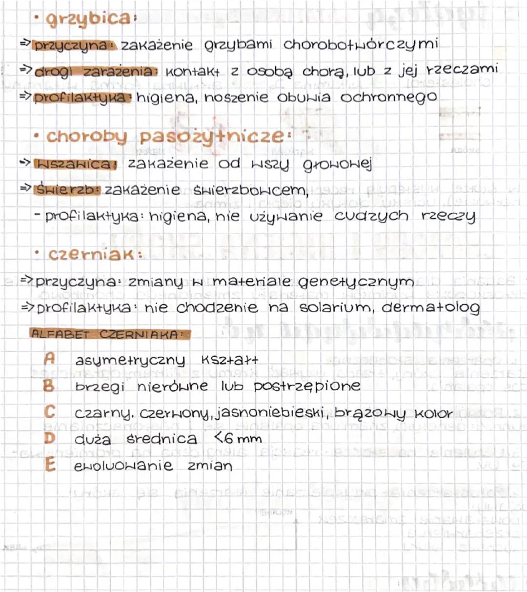 Safina
BUDOWA
DAMA
Naskorek
warstwa rogowa
Harstwa rozrodcza
D2 ZKI
Skóra włascina
receptor
UCISKU
Włos
ciałko
dotykowе
nas kółek
Skóra
Właś