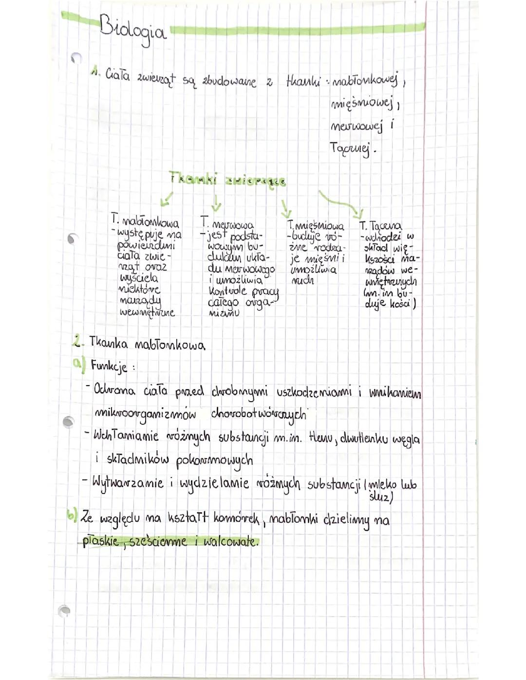 Biologia- tkanki zwierzęce 