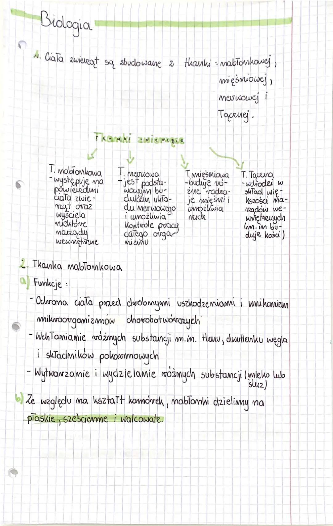 Biologia
A. Ciała zwierząt są zbudowane z tkanki mabłonkowej,
Tkamki zwierace
T. mabłonkowa
-występuje ma
powiezdni
ciała zwie-
ząt oraz
wyś