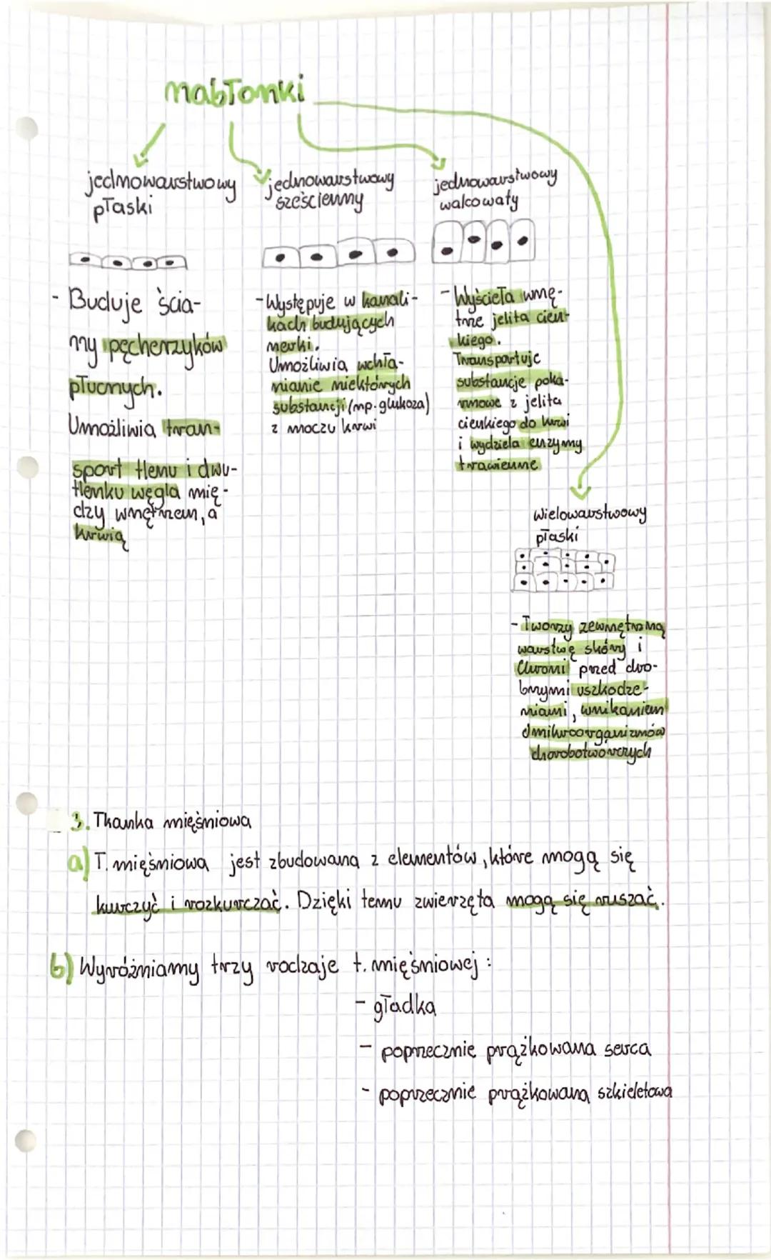 Biologia
A. Ciała zwierząt są zbudowane z tkanki mabłonkowej,
Tkamki zwierace
T. mabłonkowa
-występuje ma
powiezdni
ciała zwie-
ząt oraz
wyś